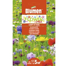 Blumen Flower Mix pour prairie fleurie, convient pour environ cinq mètres carrés de surface