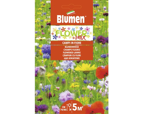 Graines Prairie fleurie Mauser Blumen Flower Mix pour prairie fleurie, convient pour environ cinq mètres carrés de surface