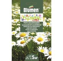 Blumen Flower Mix graines de fleurs avec des pâquerettes pour environ 5 mètres carrés
