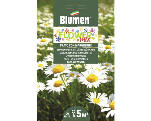 Graines Prairie fleurie avec pâquerettes Mauser Blumen Flower Mix graines de fleurs avec des pâquerettes pour environ 5 mètres carrés