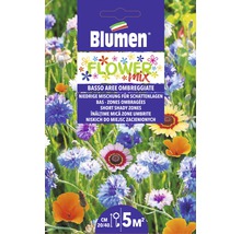 Blumen Flower Mix graines pour les endroits ombragés