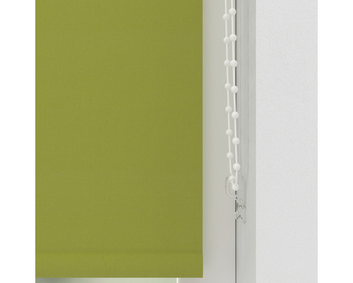 Grüne Fensterrollo mit Bedienkette