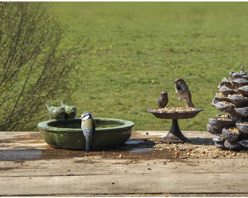 Scène avec abreuvoir pour oiseaux, mangeoire et oiseaux dans le jardin