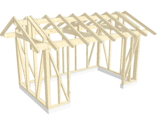 Structure en bois ossature en bois avec toit à deux pans 300x500 cm