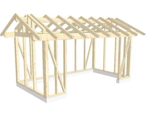 Structure en bois ossature en bois avec toit à deux pans 300x550 cm