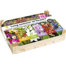 Blumenzwiebeln Mischung in einer Holzkiste mit Informationen zur Blütezeit