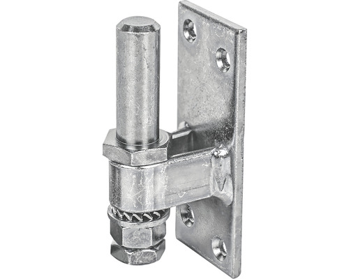 Gond réglable 16 x 100 x 40 mm galvanisé, traité par passivation couche épaisse Gond de porte en métal pour la boutique en ligne Hornbach