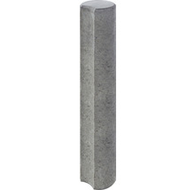 Beton Palisadenelement