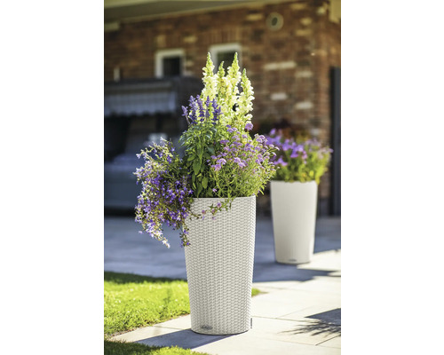 Haut pot de fleurs en plastique planté de fleurs