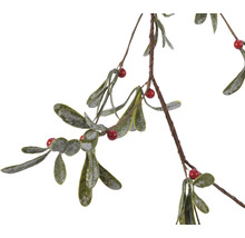 Branche de gui avec feuilles et baies