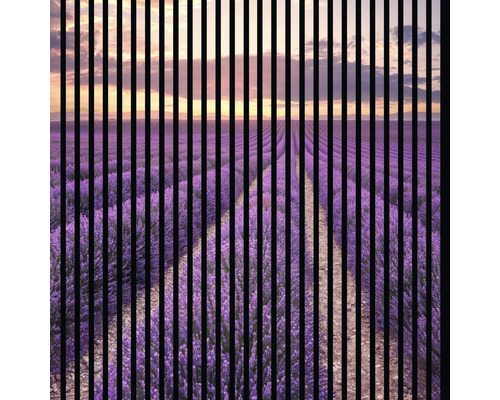 Akustikpaneel digital bedruckt Lavendel 1 1195 x 1133 x 19 mm Set = 2 Einzelpaneele