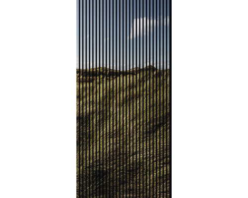 Akustikpaneel digital bedruckt Gras 1 19x1133x2400 mm Set = 2 Einzelpaneele Akustikpaneel digital bedruckt Gras 1 19x1133x2400 mm Set = 2 Einzelpaneele