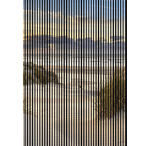 Strandlandschaft mit Meerblick und Dünengras, durchzogen von vertikalen Linien