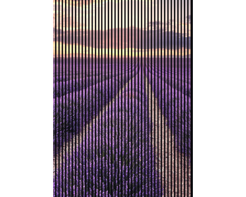 Akustikpaneel digital bedruckt Lavendel 1 2400 x 1693 x 19 mm Set = 3 Einzelpaneele