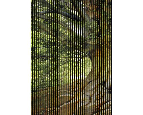 Panneau acoustique impression digitale Arbre 1 19x1693x2400 mm Kit = 3 panneaux individuels