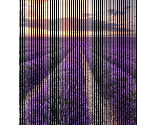 Akustikpaneel digital bedruckt Lavendel 1 2400 x 2253 x 19 mm Set = 4 Einzelpaneele