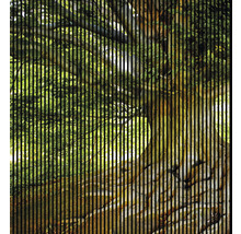 Image d''arbre avec des lignes verticales