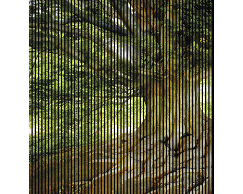 Image d''arbre avec des lignes verticales