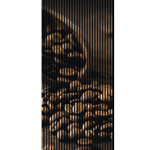 Nahaufnahme von Kaffeebohnen