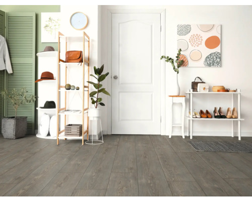 Couloir lumineux avec plancher en bois, étagère à chaussures et décoration