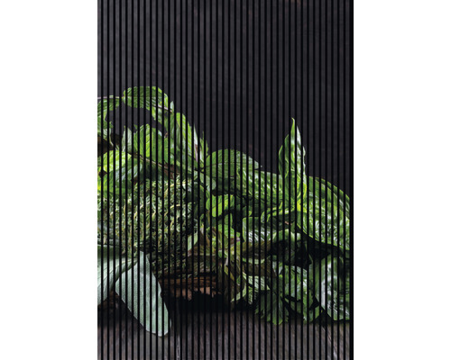 Panneau acoustique impression digitale Fines herbes 1 19x1693x2400 mm Kit = 3 panneaux individuels