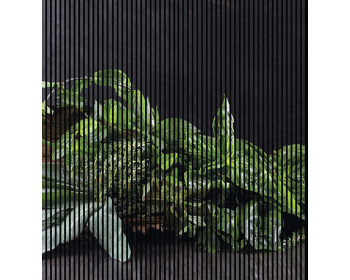 Panneau acoustique impression digitale Fines herbes 1 19x2253x2400 mm Kit = 4 panneaux individuels