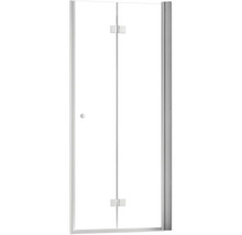 Porte de douche en verre transparent avec ferrures