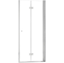 Porte de douche avec poignée de porte et charnières
