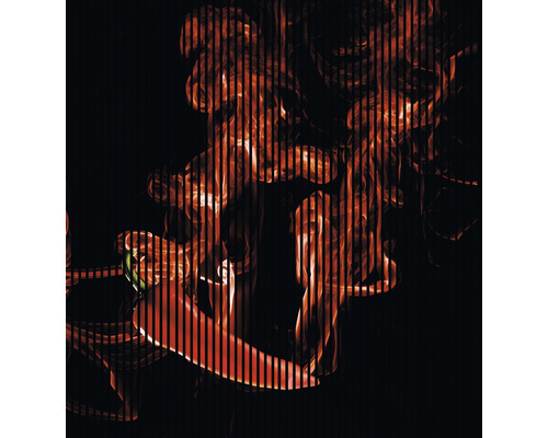 Panneau acoustique impression digitale Chili 1 19x2253x2400 mm Kit = 4 panneaux individuels