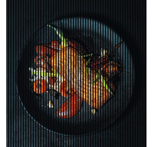 Teller mit gegrilltem Fisch, Tomaten und Frühlingszwiebeln