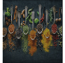 Diverses épices et herbes aromatiques dans des cuillères sur fond sombre