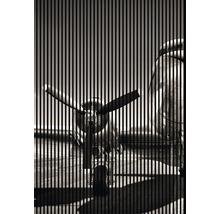 Akustikpaneel digital bedruckt Flieger 1 19x1693x2400 mm Set = 3 Einzelpaneele