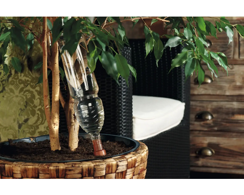 Plante en pot avec système d''arrosage