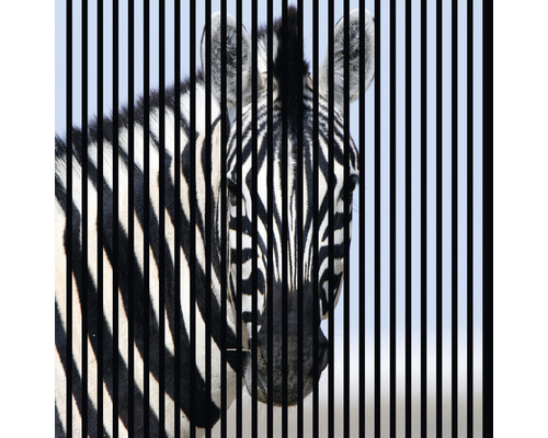 Akustikpaneel digital bedruckt Zebra 1 1195 x 1133 x 19 mm Set = 2 Einzelpaneele