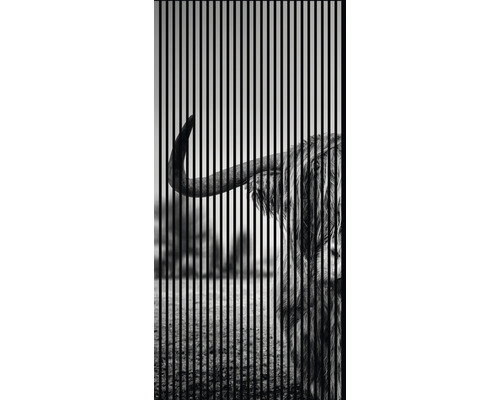 Panneau acoustique impression digitale Bovin 1 19x1133x2400 mm Kit = 2 panneaux individuels Store enrouleur décoratif avec motif d''un Highland écossais