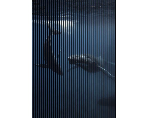 Panneau acoustique impression digitale Baleine 1 19x1693x2400 mm Kit = 3 panneaux individuels
