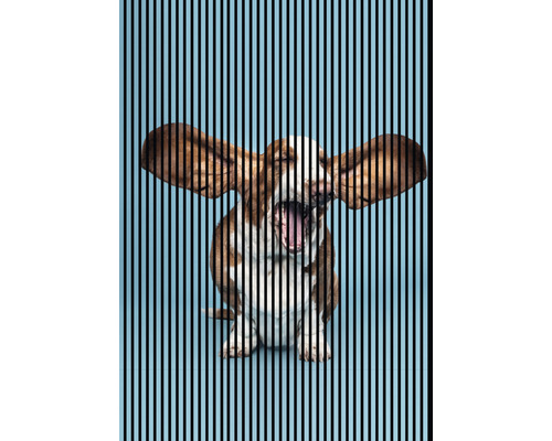 Panneau acoustique impression digitale Dog 1 19x1693x2400 mm Kit = 3 panneaux individuels