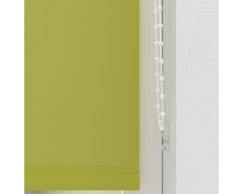 Store enrouleur vert avec commande à chaînette pour le contrôle de la lumière