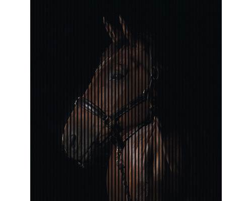 Panneau acoustique impression digitale Cheval 1 19x2253x2400 mm Kit = 4 panneaux individuels