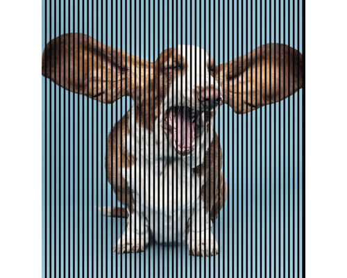 Panneau acoustique impression digitale Dog 1 19x2253x2400 mm Kit = 4 panneaux individuels