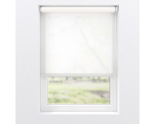 Fenster mit Lichtdurchlässigem Rollo