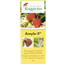 Amylo-X 50g