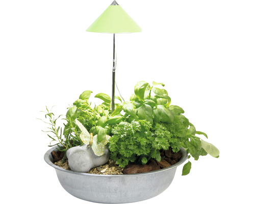 Lampe pour plantes SUNLiTE vert