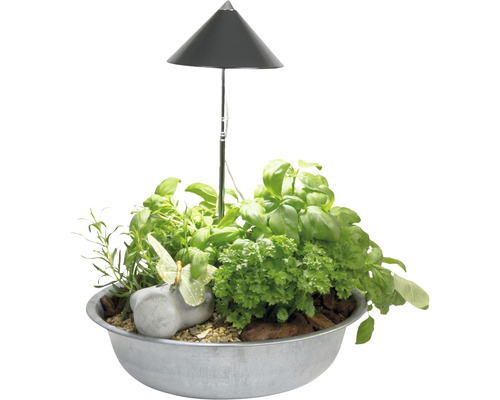 Lampe pour plantes SUNLiTE gris