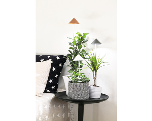 Pflanzenlampe SUNLiTE grau - HORNBACH