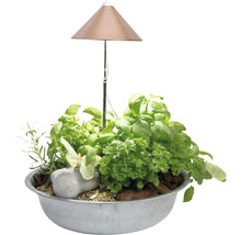 Kräutergarten mit Basilikum, Petersilie und Kräuterleuchte in einer Metallschale