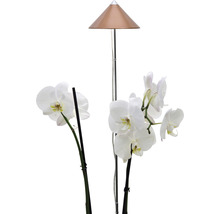 Gartenleuchte neben einer blühenden Orchidee