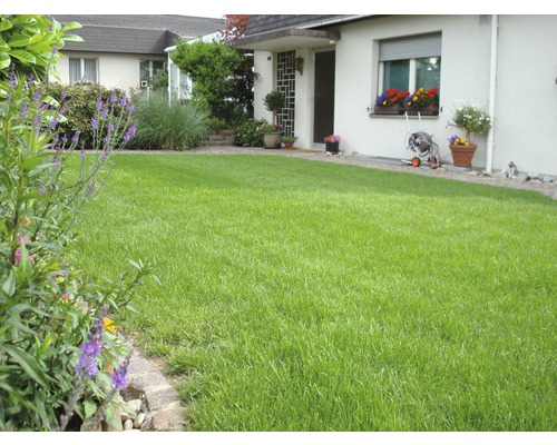 Pelouse bien entretenue devant une maison avec des parterres de fleurs