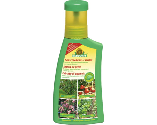 Neudorff Schachtelhalm-Extrakt 250 ml Neudorff Schachtelhalm-Extrakt 250 ml