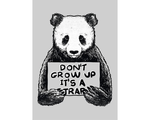Illustration eines Pandas mit einem Schild, das die Aufschrift ''Werde nicht erwachsen, es ist eine Falle'' trägt.